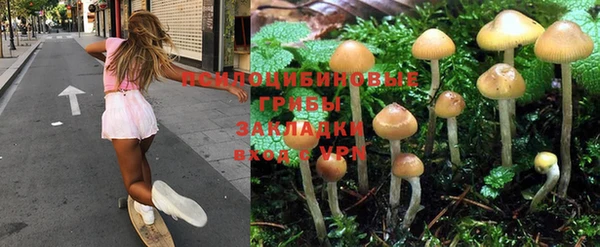 ECSTASY Вязники