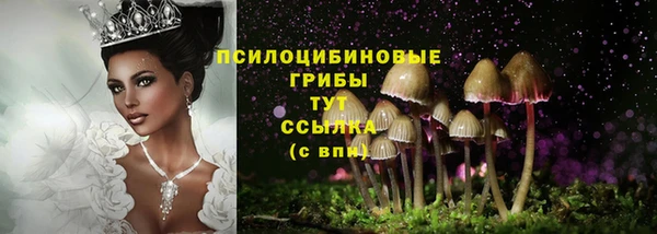 эйфоретик Новосибирск